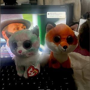 Ty Beanie Boo plushies